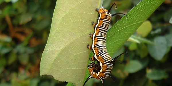 电话轰炸在线免费